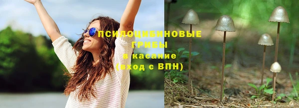 эйфоретик Аркадак