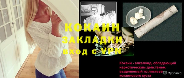 гашик Арсеньев