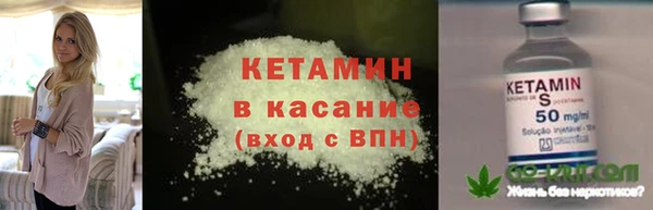 гашик Арсеньев