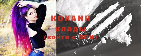 шишки Нягань